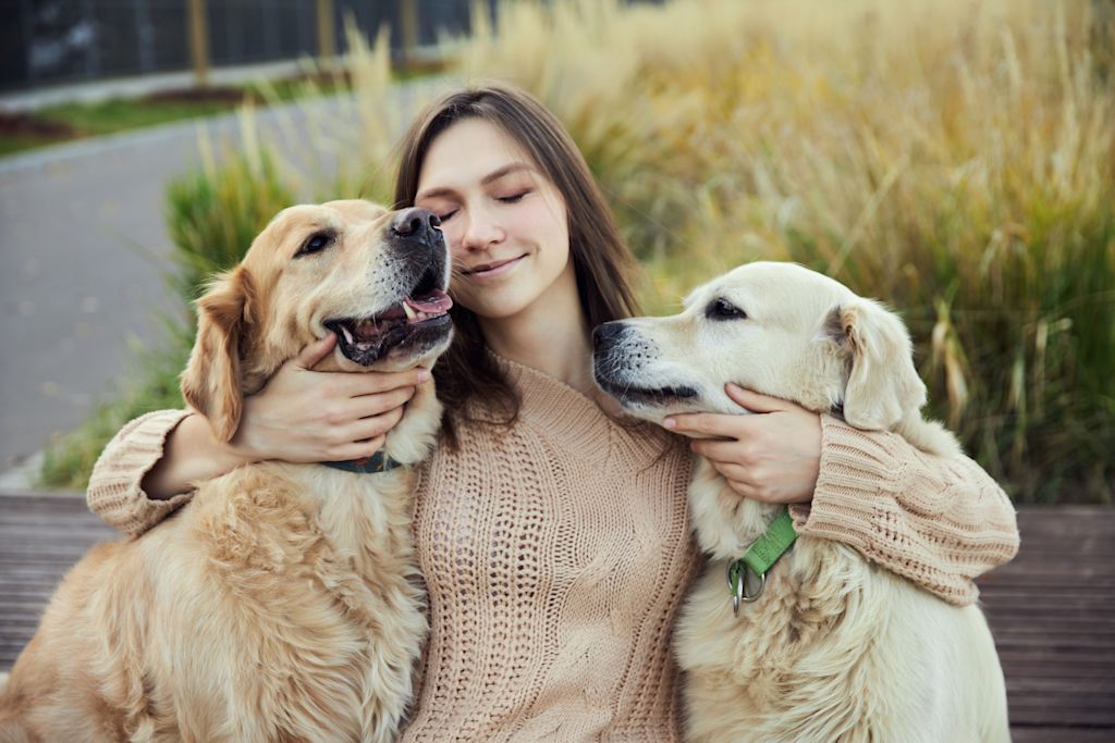 Couple de chiens