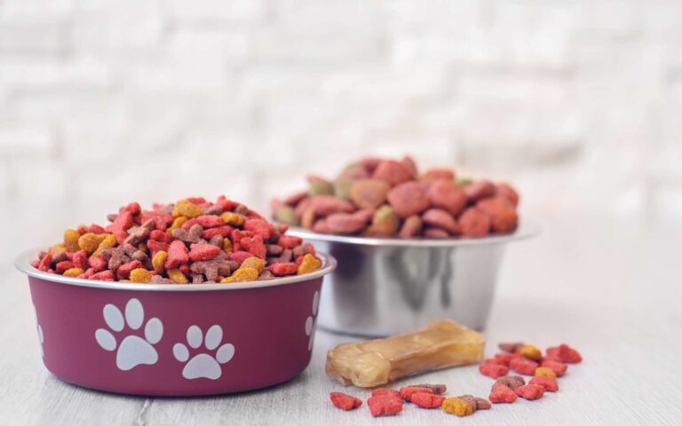 Comprendre les étiquettes des sacs de croquettes pour chien