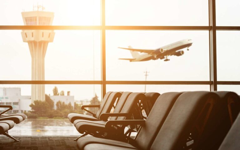 Prendre l&rsquo;avion avec son chien