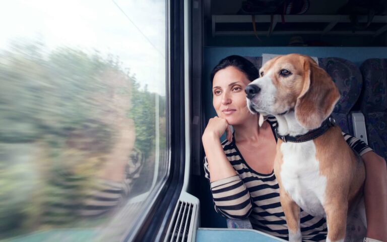 Prendre le train avec son chien