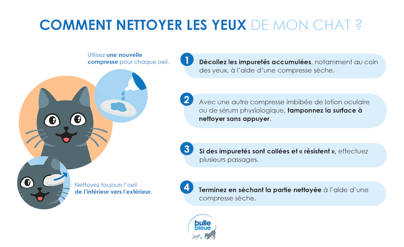 Comment nettoyer les yeux de mon chat - infographie