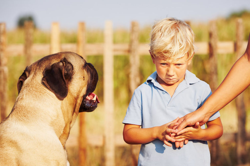 chien_et_enfant_peur