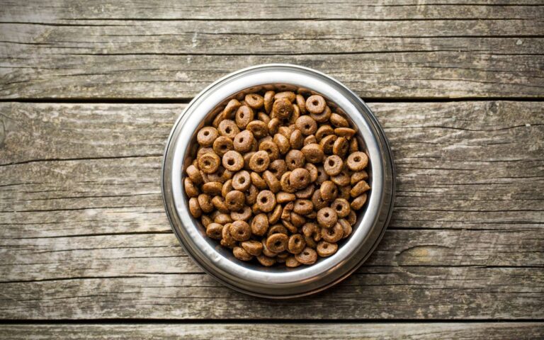 Comment choisir les croquettes pour son chien ?