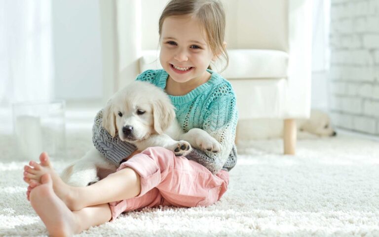Nouveau chiot : ses premières heures à la maison