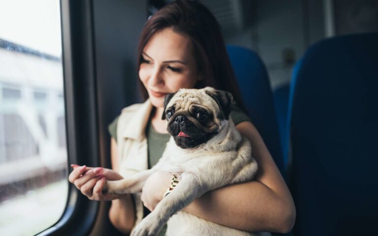 Peut-on prendre le train avec un gros chien ?
