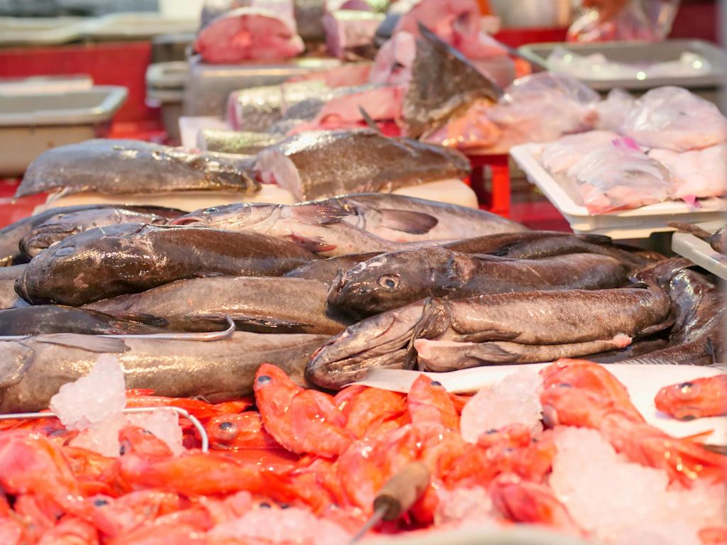 Vari&eacute;t&eacute;s de poissons