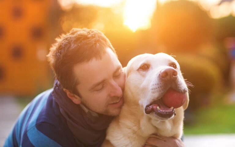 Pourquoi assurer mon chien ou mon chat ?