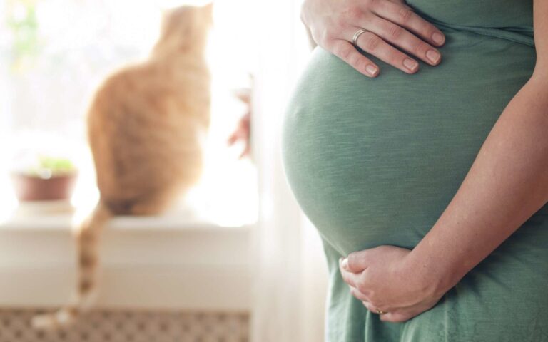 Préparer son chat à l’arrivée d’un enfant
