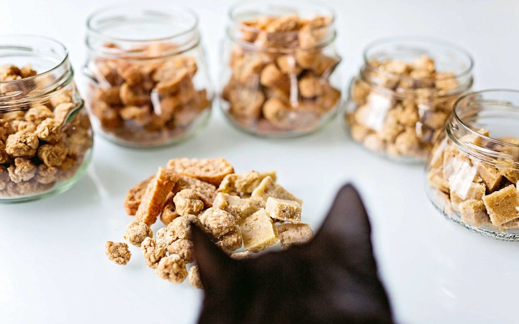 Les-friandises-pour-chat.jpg