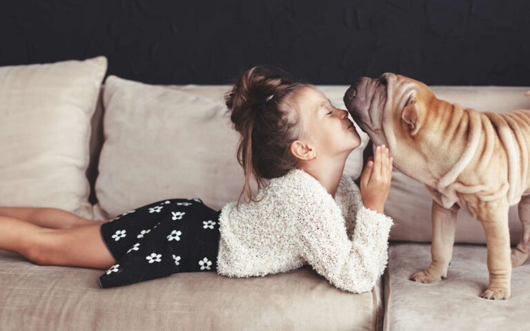 Cohabitation entre chiens et enfants, l’exigence de l’hygiène