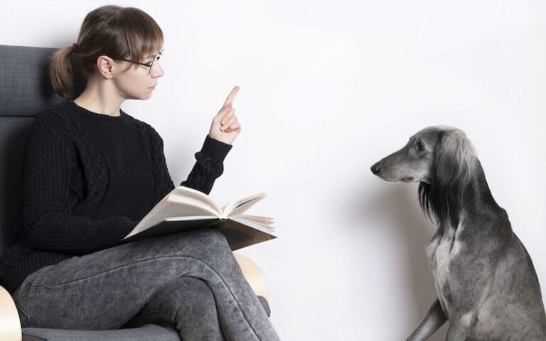 Confinement : quelles activités pour occuper votre chien ?