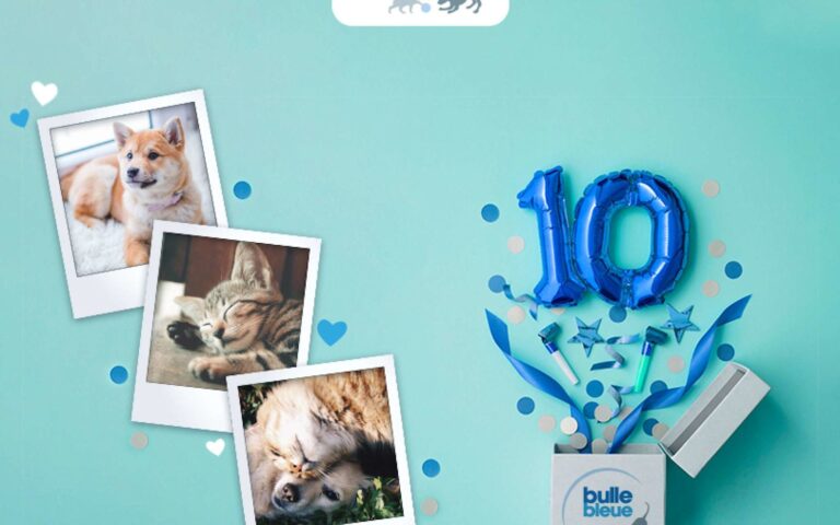 Découvrez les gagnants du jeu concours pour les 10 ans de Bulle Bleue !