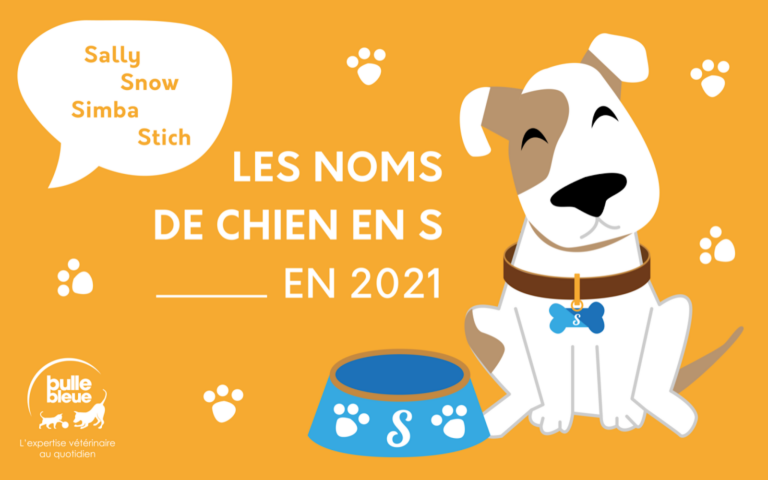 Quel nom en S pour mon chien ?
