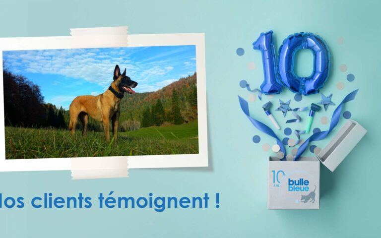 Assurance santé animale Bulle Bleue : ce sont les maîtres qui en parlent le mieux !