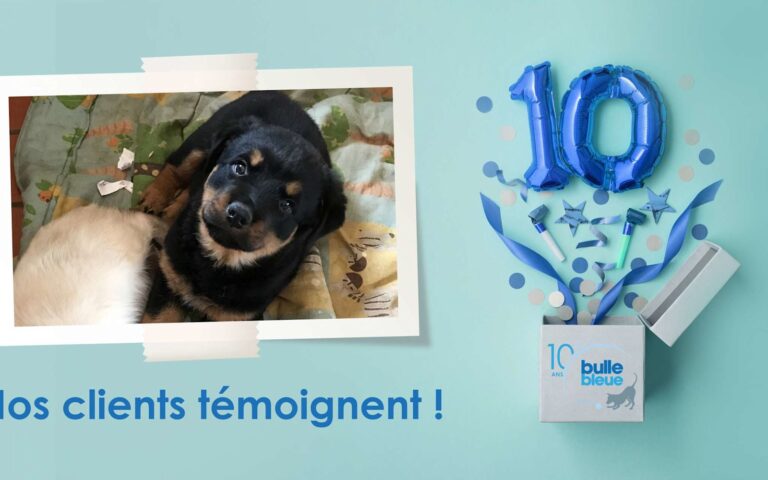 Newton, un rottweiler protégé par un ange-gardien. Une cliente de Bulle Bleue témoigne