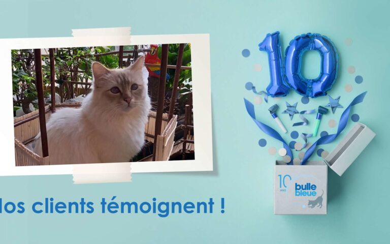 Témoignage client Bulle Bleue : Phoenix, plus qu’un chat un petit Dieu