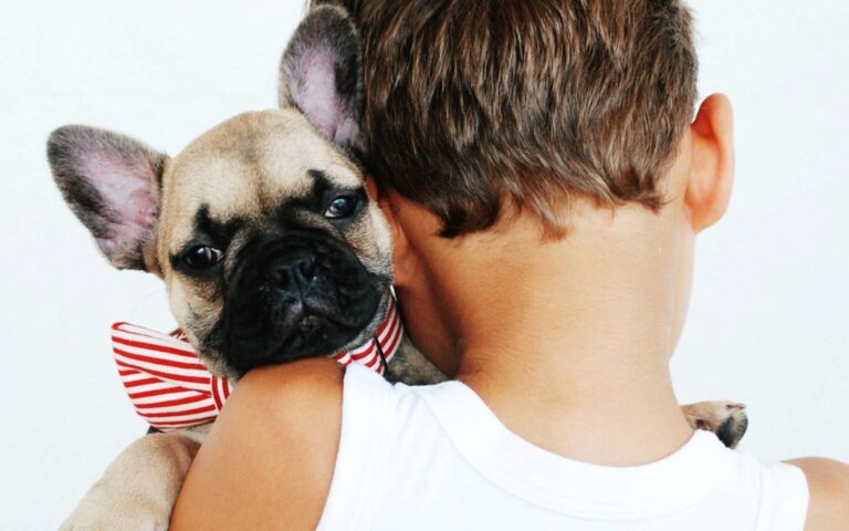 TOP 10 des chiens préférés des Français