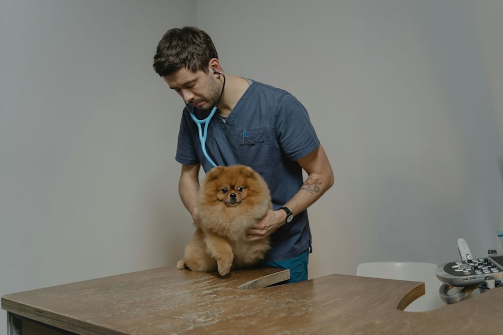chien chez le v&eacute;t&eacute;rinaire
