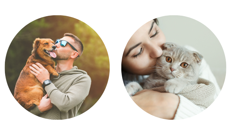 r&eacute;solution 5 assurer son chat assurer son chien
