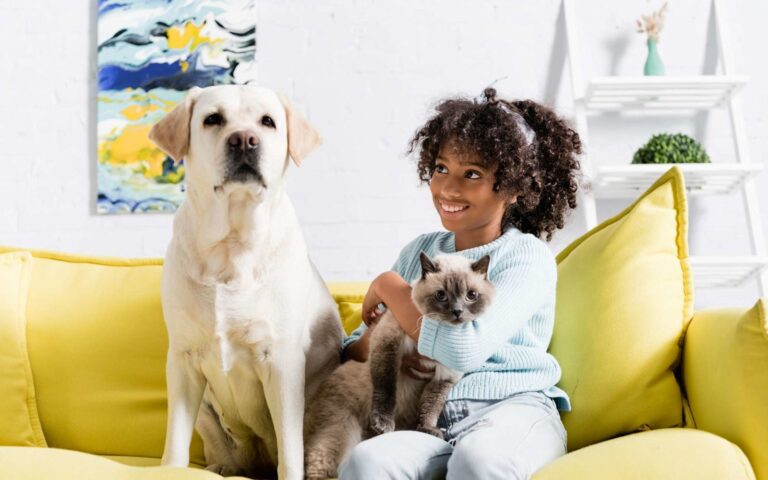 Les bonnes résolutions pour 2023 : penser au bien-être de son chien ou son chat !
