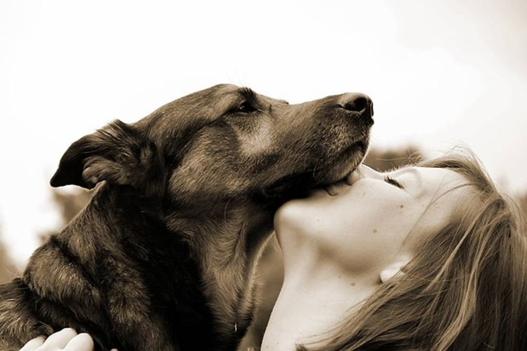 Chien et sa maîtresse