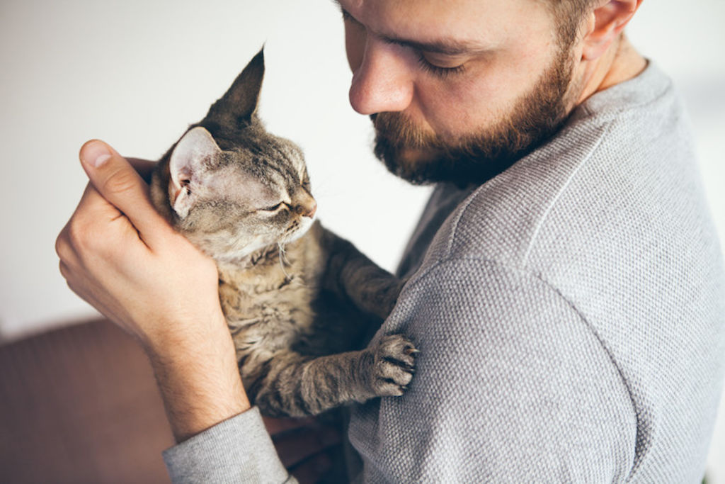 chat_amoureux_3