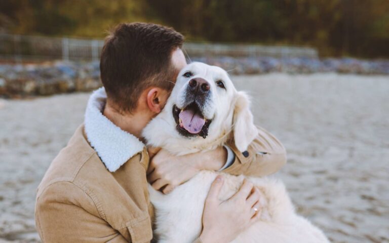 Les chiens peuvent-ils tomber amoureux ?