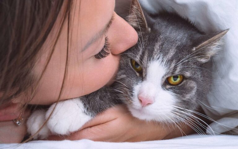 Est-ce que les chats peuvent tomber amoureux ?