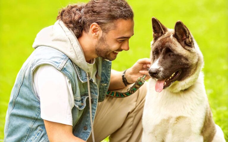 Comment connaître l&rsquo;âge de son chien en âge humain ? 