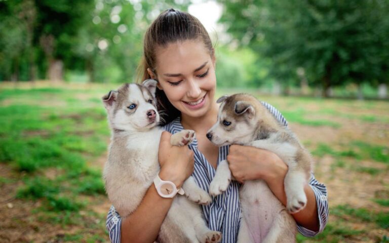 Trouver le meilleur nom avec la lettre V pour votre chien en 2024