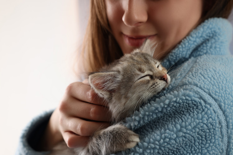 &acirc;ge st&eacute;rilisation chaton