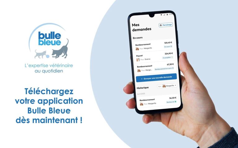 Votre assurance dans votre poche avec l&rsquo;application Bulle Bleue