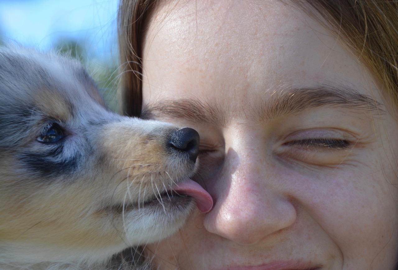 Chien qui l&egrave;che