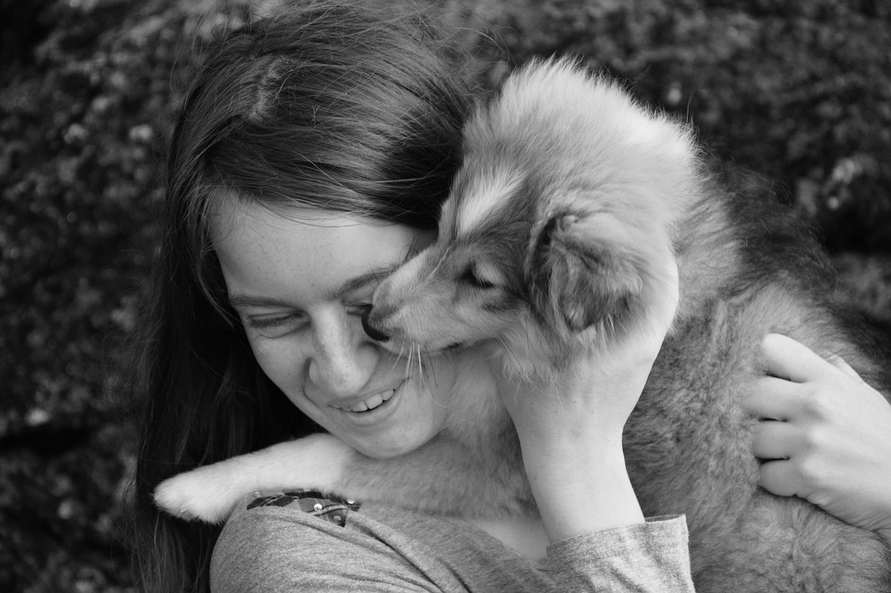 Chiot qui l&egrave;che sa ma&icirc;tresse