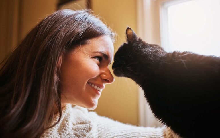 Mais pourquoi est-ce que mon chat me lèche ?