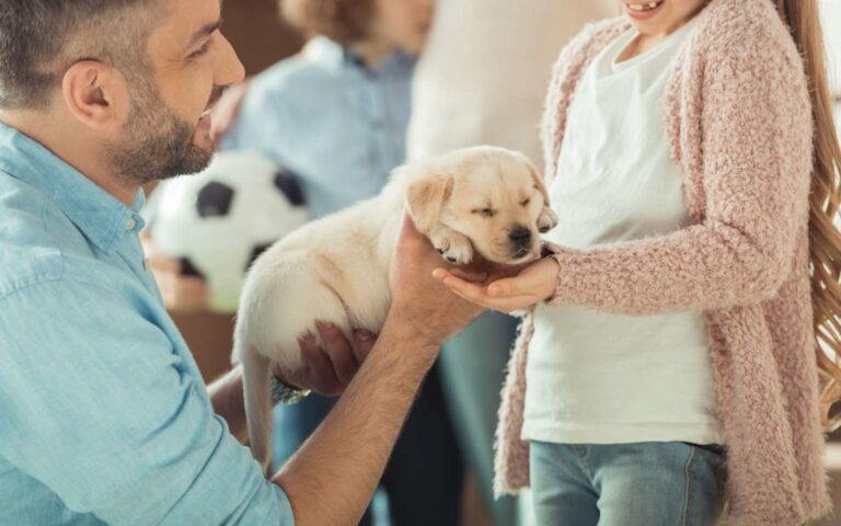 Tout ce qu&rsquo;il faut savoir pour bien accueillir un chiot