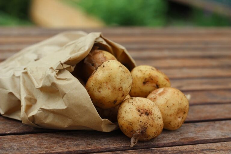 Les pommes de terre sont-elles bonnes pour les chats ?
