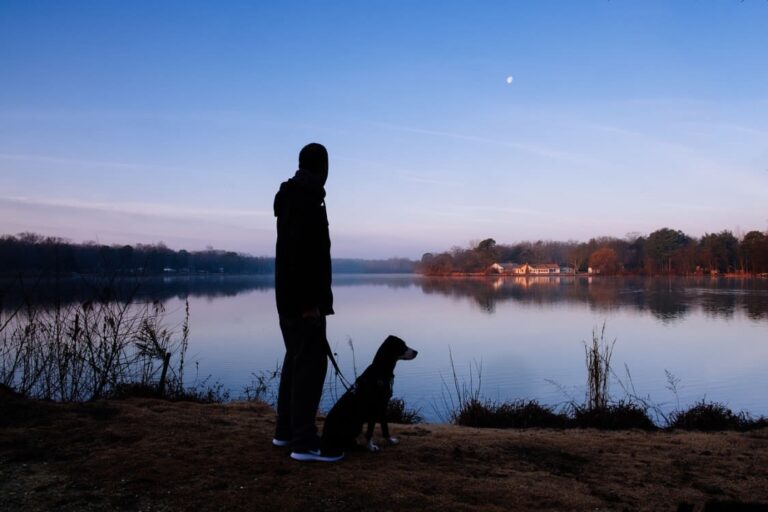 Les chiens ont-ils froid la nuit ?