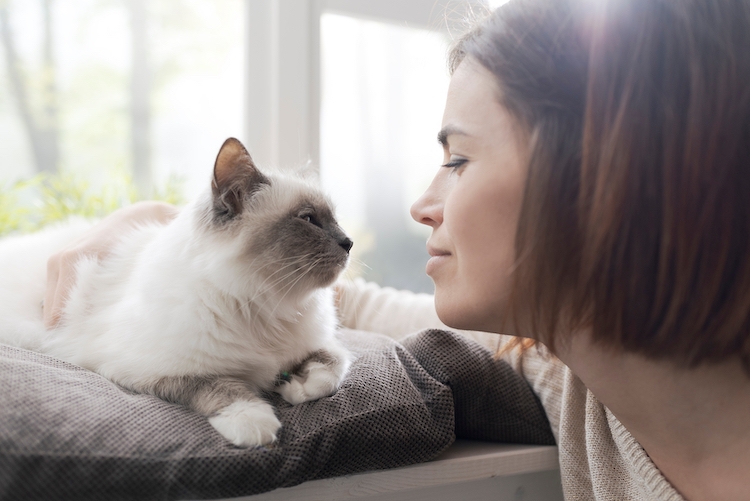 Assurance chat
