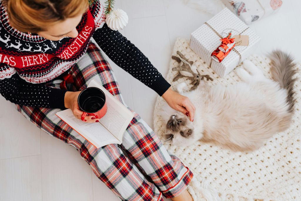 Chat sur un plaid