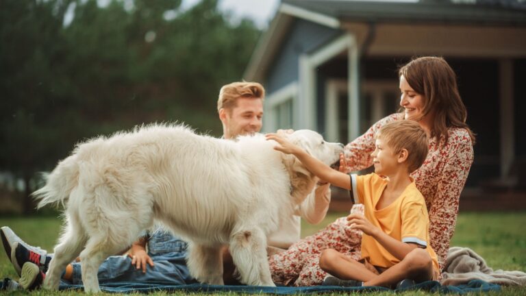 En combien de temps un chien s’attache-t-il réellement à son maître ? 