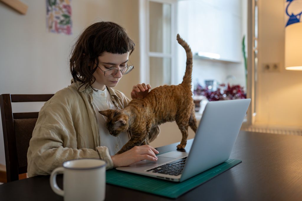 chat qui demande des calins