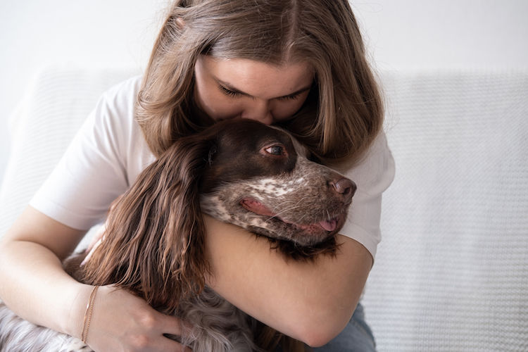 Comment fêter simplement la Saint-Valentin avec son chien ou chat ?
