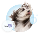 Visuel Payvet BB 1 