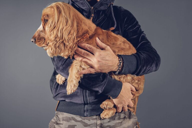Comment porter un chien ?
