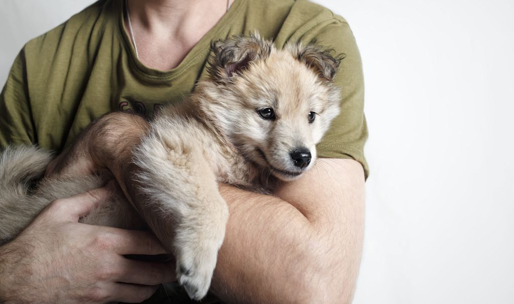 homme et son chiot