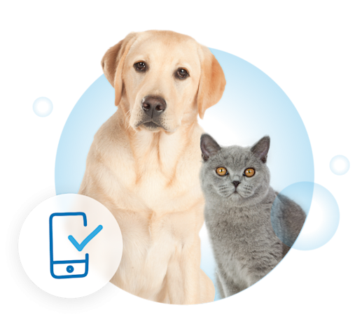Visual Page App V2