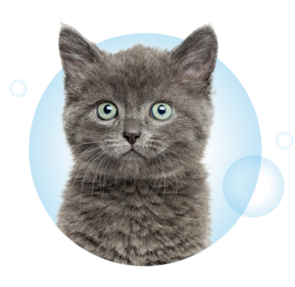 Visual Page Formule Chat V2