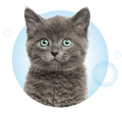 Visual Page Formule Chat V2
