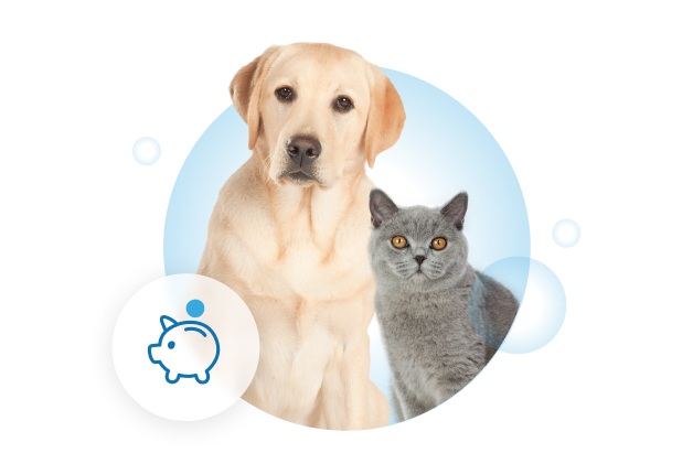 Visual Page Rembourse
